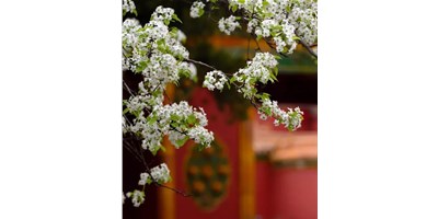 【展會(huì)資訊】臺(tái)群精機(jī)5月展會(huì)一覽，等您來參觀！